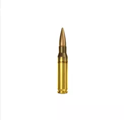 MUNIÇÃO SELLIER & BELLOT .308 SPCE 150GR