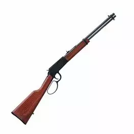 RIFLE CBC RIO BRAVO .22