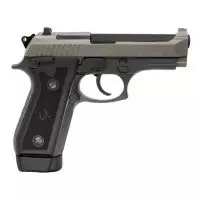 PISTOLA TAURUS PT58HC PLUS .380