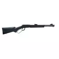 RIFLE CBC RIO BRAVO .22