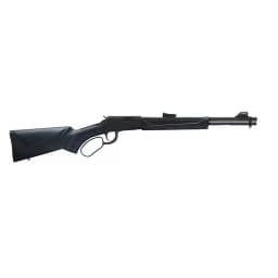 RIFLE CBC RIO BRAVO .22