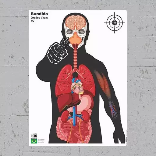 KIT 5 ALVOS BANDIDOS ÓRGÃOS VITAIS