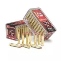 MUNIÇÃO HORNADY .22 WMR V-MAX 30GR